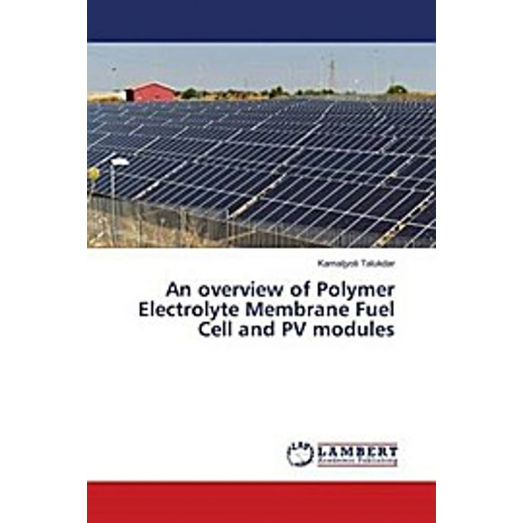 An Overview Of Polymer Electrolyte Membrane Fuel Cell And PV Modules