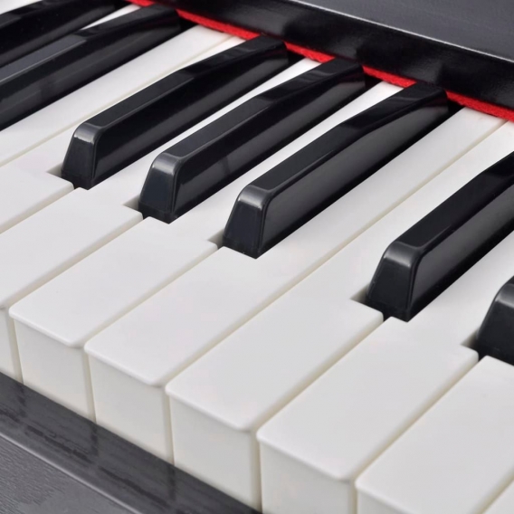 Duolm Digitalpiano mit 88 Tasten und Pedalen Schwarz Melaminplatte