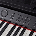 Duolm Digitalpiano mit 88 Tasten und Pedalen Schwarz Melaminplatte