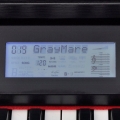 Duolm Digitalpiano mit 88 Tasten und Pedalen Schwarz Melaminplatte