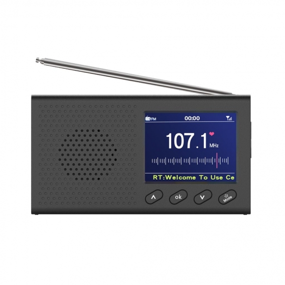 2.4" Tragbares Digitalradio Radio DAB + FM bluetooth5.0 Musik Player LCD Display