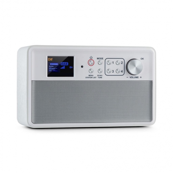 auna Nestor DAB+ Radio , bedienerfreundliches DAB+/FM Digitalradio für jedermann , 2,4" TFT-Farbdisplay mit großer und lesbarer 