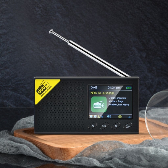 Digitales DAB- und FM-Radio mit BT, tragbarer wiederaufladbarer drahtloser Digitalradio-DAB + FM-Empfaenger mit Stereo-Lautsprec