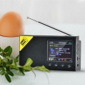 Digitales DAB- und FM-Radio mit BT, tragbarer wiederaufladbarer drahtloser Digitalradio-DAB + FM-Empfaenger mit Stereo-Lautsprec