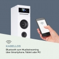 auna Karaboom 100 - 2.1 Lautsprechersystem, Internetradio, DAB, DAB+ und UKW Radio, CD-Player, WiFi Turmlautsprecher, Standlauts