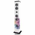 Ices IBT-6 Zebra - Lautsprecherturm mit Bluetooth, FM-Radio, USB- und SD-Karten-Player - Weiß