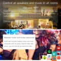 M5 AudioCast HIFI Music Receiver Airplay DLNA IOS & Android Airmusic 2,4 G Wi-Fi-Lautsprecher für Spotify Wireless Sound Streame