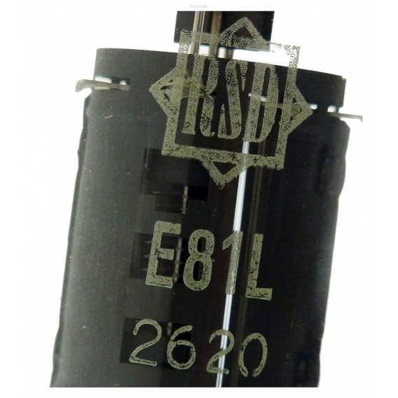 E81L Pentode, goldpin. Eine Radioröhre von RSD. ID15502