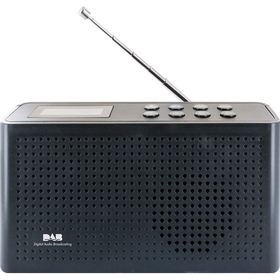 SCHWAIGER -716467- Tragbarer DAB+ Digitalradio, Schwarz