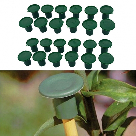 24 Stück Cane End Caps