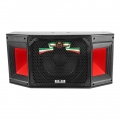 GD Sound 350W Professioneller Lautsprecher 10 Zoll Audio Equipment High Power Bass für KTV Home Entertainment