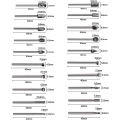 AcserGery Rotationsgrate – 20 Stück HSS-Fräser-Bits Holzbearbeitungs-Fräser-Bits mit 3 mm Schaft für Dremel/Zubehör Rotationswer