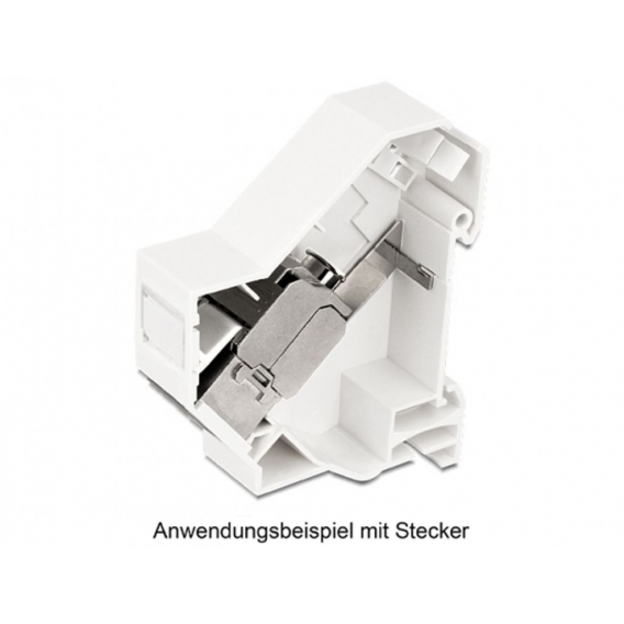 DeLock Keystone Halterung für Hutschienen mit Erdung