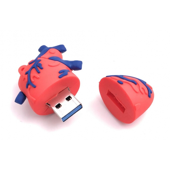 Onwomania Herz Anatomie Zentrum Organ rot USB Stick USB Flash Drive 64GB Usb 2.0