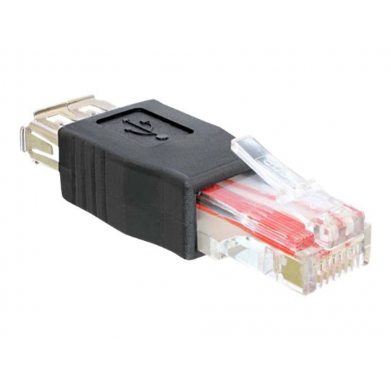 Delock Adapter USB Buchse ＞ RJ45 Stecker