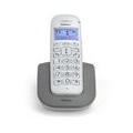 Profoon PDX-2608 DUO - DECT-Telefon mit großen Tasten und 2 Mobilteilen, weiß