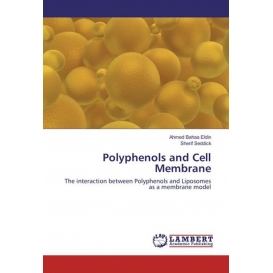 More about Polyphenols and Cell Membrane