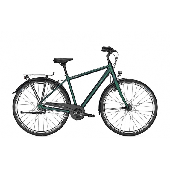 Raleigh Devon H 50 cm Nexus 8 SP Kombugreen Matte