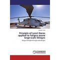 Principle of Local Zones applied to fatigue prone large-scale Designs