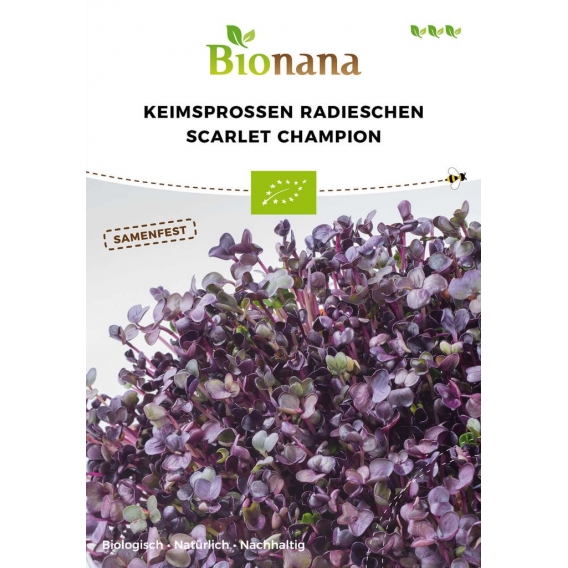 Keimsprossen Radieschen Scarlet Champion |Keimsprossen von Bionana