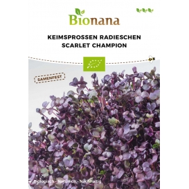 More about Keimsprossen Radieschen Scarlet Champion |Keimsprossen von Bionana