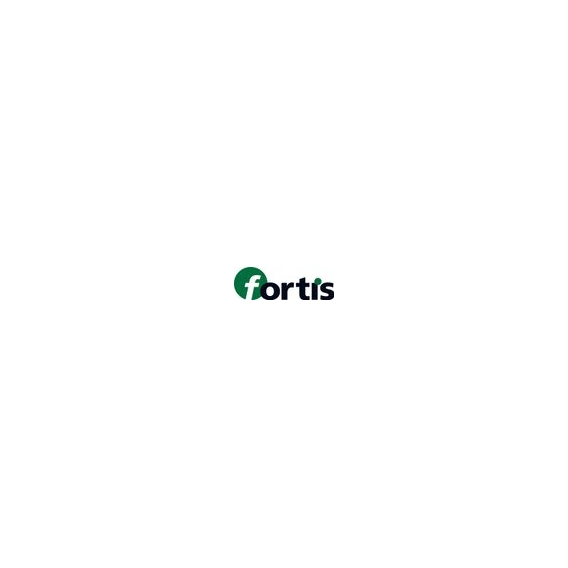 FORTIS Viertelstabfräser HW R7,9 28,7x15,5x57