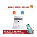 Smoke Smart Home APP benachrichtigt WiFi-Rauchmelder