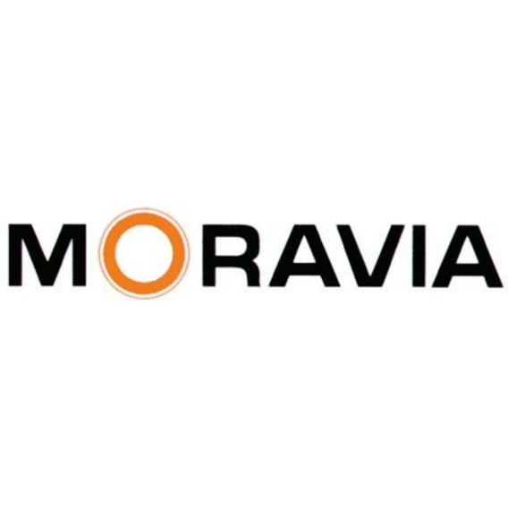 Moravia Fahrbahnschwelle Normelemgelb Topstop 10