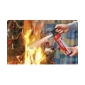 Feuerlöschspray ReinholdMax750 g 044023