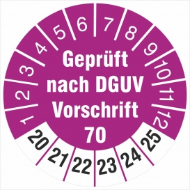 More about 50 Prüfetiketten  DGUV Information Vorschrift 70 30 mm Fahrzeuge 2020-25