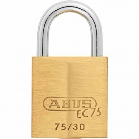 More about ABUS 806-377 Hängeschloss EC 75/30 Lock-Tag, messingfarben/silber