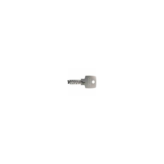 ABUS 806-377 Hängeschloss EC 75/30 Lock-Tag, messingfarben/silber