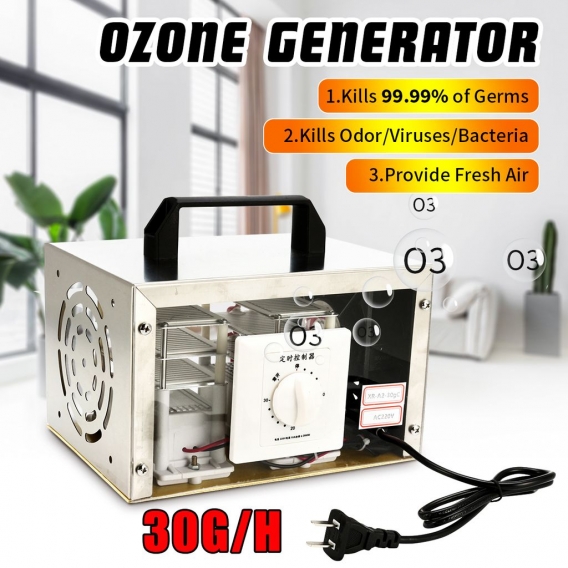 220V Industrieller Ozongenerator Geruchskiller O3 Luftreiniger Ozon Deodorant für Räume, Garagen, Bauernhöfe, Hotels Modell- 30g