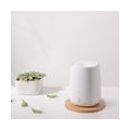 Xiaomi HL Mini Air Aromatherapie Diffusor Tragbarer USB Luftbefeuchter Ruhiger Aroma Nebelhersteller mit Nachtlicht fuer Auto Ho