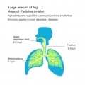 Tragbares Inhalationsgerät Inhalator Vernebler Geräuscharmes Inhalationsgerät mit Mundstück und Maske für Kinder und Erwachsene