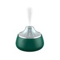 Luftbefeuchter 200ML Befeuchten cup Home Auto USB Fogger Mist Maker mit LED Nacht Lampe Geschenke Farbe Grünes Silber