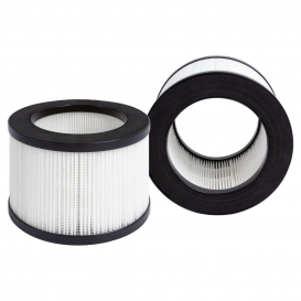 More about PROFI CARE 399988 Filter für PC-LR 3075 Luftreiniger | 2 Stück