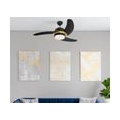 Deckenventilator Simone Schwarz 122 cm mit LED