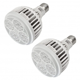 More about 2 Stück E27 PAR30 LED Strahler 25W LED Lampen 24x 3030 SMD Ersetzt 200W Halogen 3100LM Kaltweiß 6000K AC 85-265V