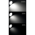 LED-Modul McShine "MCOB", 5W, 400 lm, 230V, 50x33mm, neutralweiß, step-dimmbar