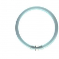 Philips Ringförmige Leuchtstofflampe Master TL5 Circular 60W/830 1CT