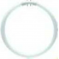 Philips Ringförmige Leuchtstofflampe Master TL5 Circular 60W/830 1CT