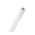 Osram Leuchtstofflampe L 58 Watt 954 Tageslicht