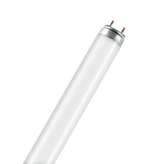 LEDvance Osram L 18W/954 Leuchtstofflampe 18W Daylight