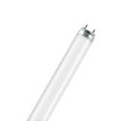 Osram Leuchtstofflampe L 18 Watt 940 neutralweiss