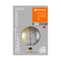 LEDVANCE Smarte LED-Lampe mit Wifi Technologie, Sockel E27, Dimmbar, Warmweiß (2500K), Große Globeform, Klares Filament im Rauch