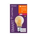 LEDVANCE SMART+ LED CLASSIC A 55 BOX DIM Warm Comfort ZigBee Klar E27 Glühlampe