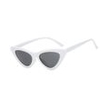 1pc Katzenaugen-Sonnenbrille Farbe Weißes fram Deep Grey Objektiv