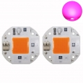 2 Stück 20W Vollspektrum AC85-265V Smart IC COB LED Chip für DIY Pflanzenlampe