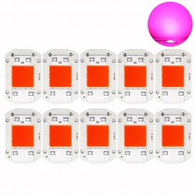 More about 10 Stück 30W Vollspektrum AC110/220V Smart IC COB LED Chip für DIY Pflanzenlampe